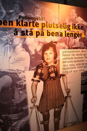 tundra og svakak i oslo teknisk museum