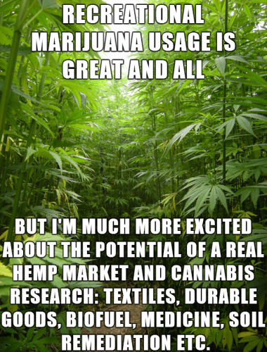 hemp