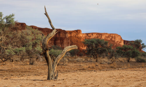 Interesting tidbits, observations and impressions from the trip to Namibia